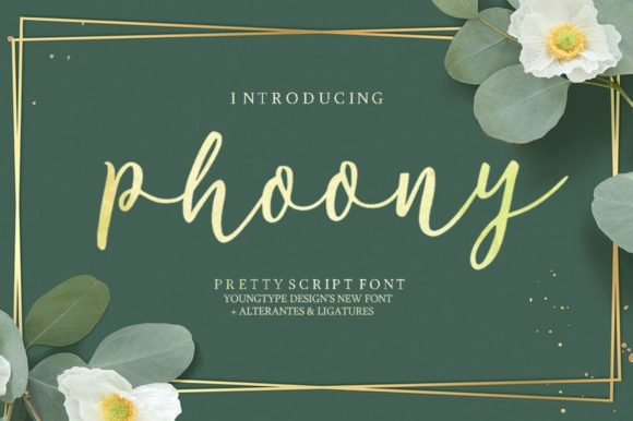 Phoony: A Bold Hand-Brushed Font with Character